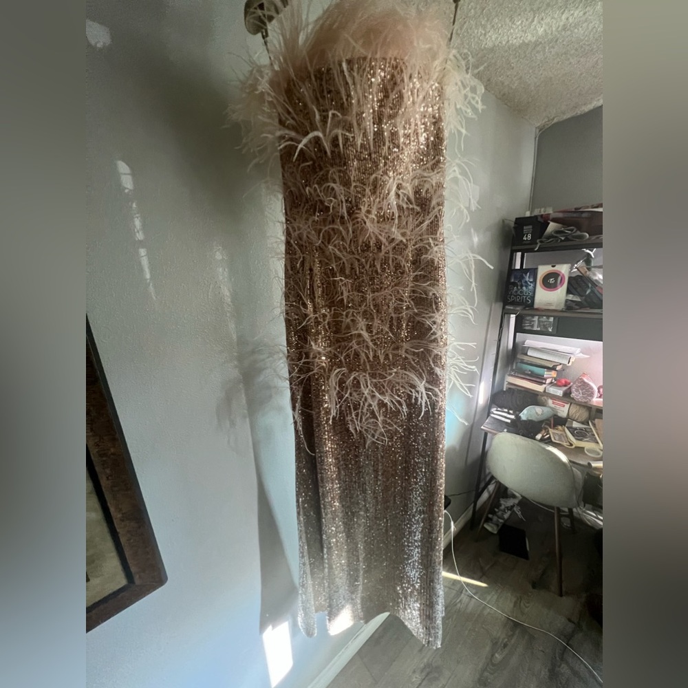 Feather trimmed sequin gown from Moda Operandi, New never used.